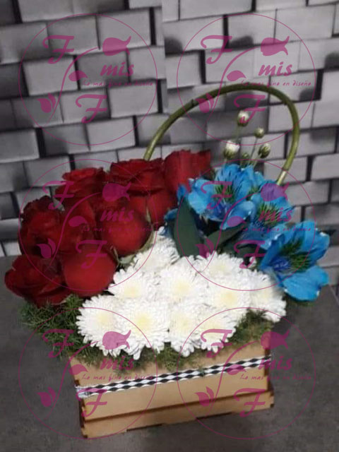 Rosas Astroazul