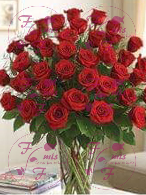 JarrÃ³n de Rosas