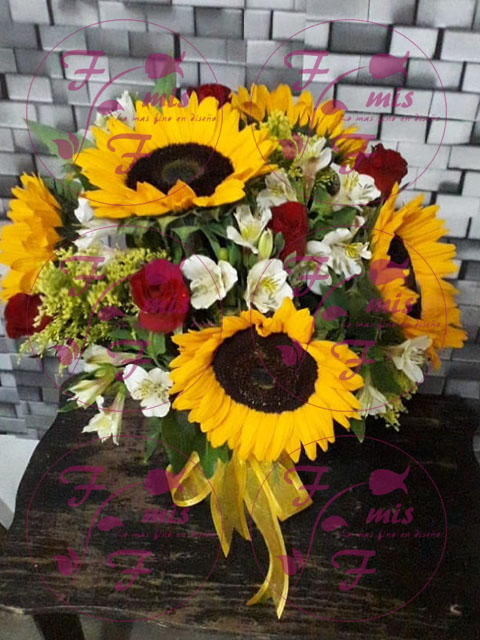 Girasoles Rosas