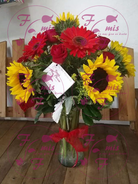 Rosas Girasores
